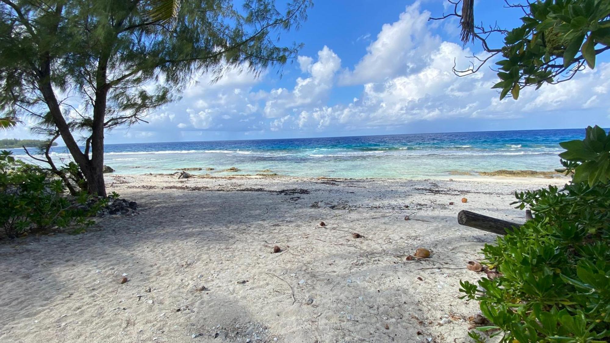 Moorea Chill And Beach Lodge Teavaro Exteriör bild