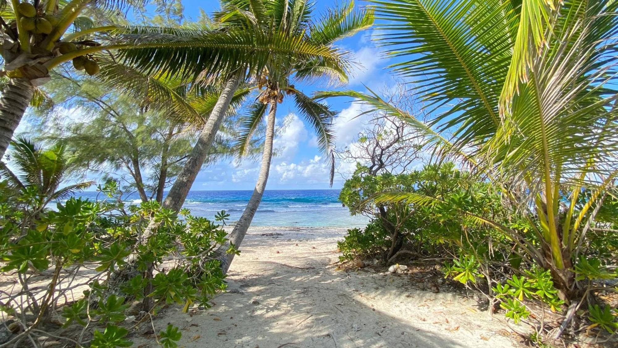 Moorea Chill And Beach Lodge Teavaro Exteriör bild